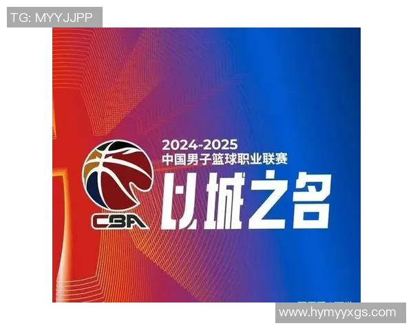 辽宁对广厦精彩比赛录像回放全程回顾与分析